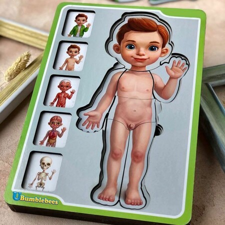 Пазл-сортер Анатомія людини хлопчик зображення
