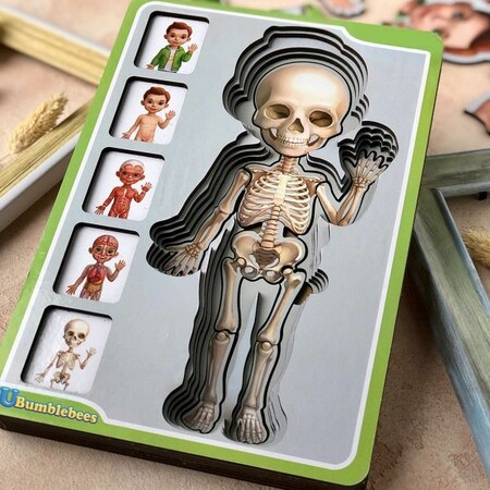 Пазл-сортер Анатомія людини хлопчик зображення 3