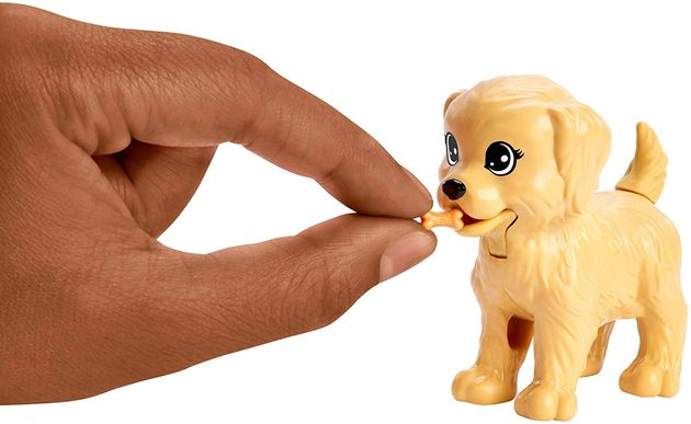 Игровой набор кукла Барби Уход за щенками брюнетка Barbie Doggy Daycare, Brunette FXH09