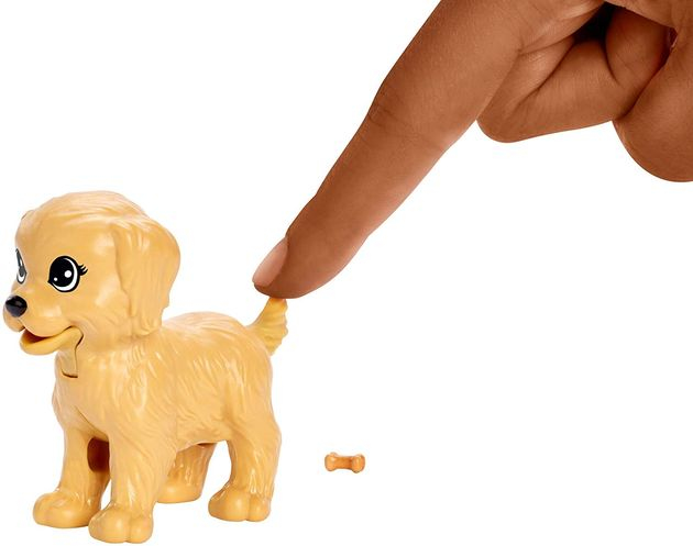 Игровой набор кукла Барби Уход за щенками брюнетка Barbie Doggy Daycare, Brunette FXH09 фото 13