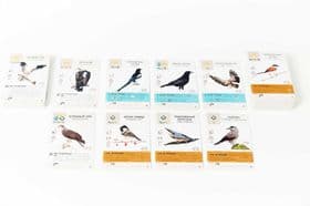 Настольная игра Крылья: Птицы Океании укр.версия дополнение Wingspan: Oceania изображение 2