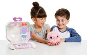 Мягкая игрушка Сюрприз Няшка-потеряшка Little Live Scruff-A-Luvs Plush Mystery Rescue Pet - Pink 30001 изображение 5