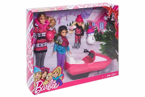 Игровой набор кукол Барби Сестры Снежная забава Barbie Sisters Snow Fun Doll Giftset фото 3