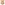Мягкая игрушка Лев Нала "Король Лев 2019" 25 см специальный выпуск Nala Plush The Lion King 2019 Film Special Edition фото 2
