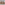 Набор трусиков из 3 шт. стринги Набір жіночих трусиків із 3 шт зображення